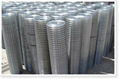 Welded Wire Mesh 5