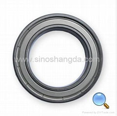 Deep Groove Ball Bearing & Ball Bearing