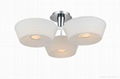 pendant lights&chandelier&pendant lamp