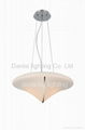 pendant lights&chandelier&pendant lamp