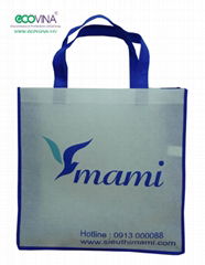 non woven promotional bag