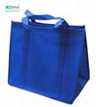 non woven promotional bag 2