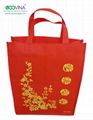 non woven bag for shopping 3