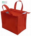 cheapest non woven bag for uses 1