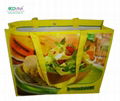 promotional non woven laminated bag 2