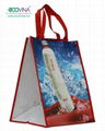 non woven laminated promotional bag 2