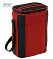non woven cooler bag for keeping cold 4