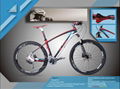 Alton carbon fiber mountain bicycle