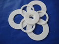 PTFE Gasket 1