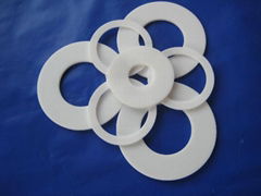 PTFE Gasket