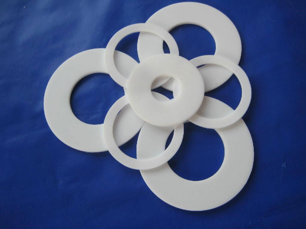 PTFE Gasket