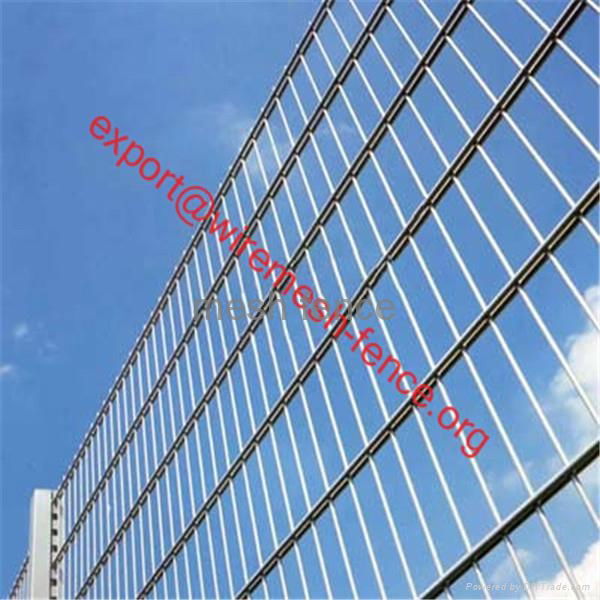 PVC/Powder coated double wire fence(wholesales price) 4