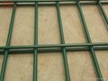twin wire/double wire mesh fence(manufacturer)