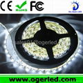 60LED/M 3528&5050 Flexible LED Strip For Decoration 4