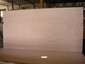 18mm phenolic okoume plywood