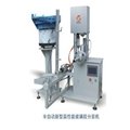 Packaging machinery plastic bottle paste filling capping machine 3