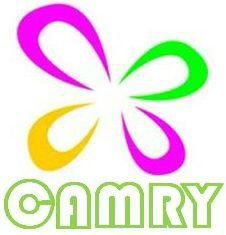 shenzhen camrygifts co.,ltd