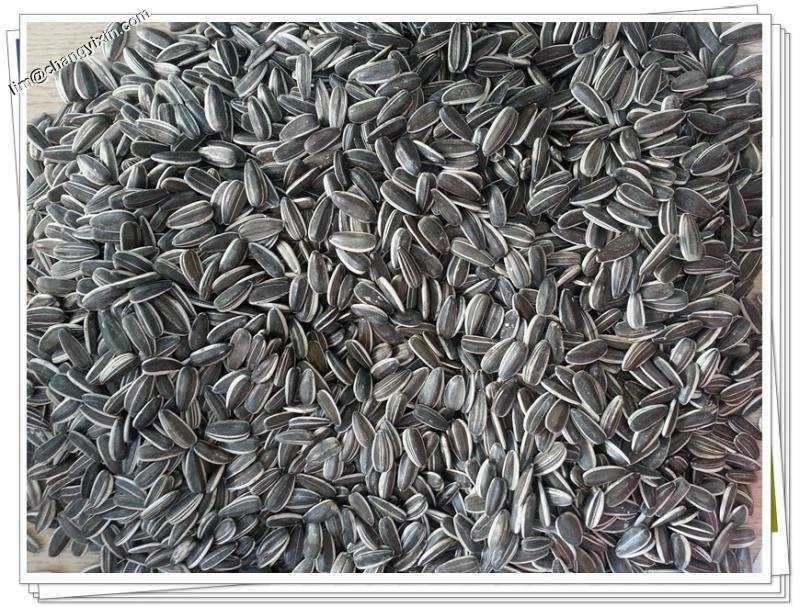 Shelled sunflower seeds