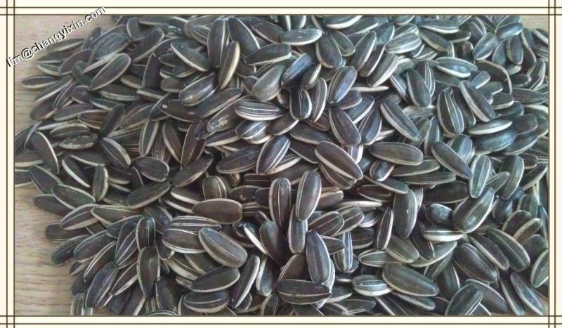 Shelled sunflower seeds 4