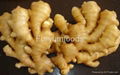 Healthy Food Chinese Fresh Ginger 200G