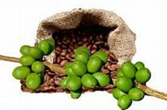 Green Coffee Bean Extract