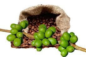 Green Coffee Bean Extract