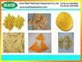 Doritos /tortilla/corn chips process machinery 3