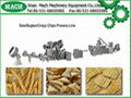 Sala/Bugles/Crispy Rice Chips Process Machinery 1