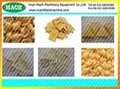 Sala/Bugles/Crispy Rice Chips Process Machinery 3