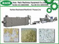 Nutrition Rice /Artificial Rice/Enrich Rice/Instant Rice Process Machine 1