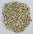 HIGH QUALITY BLACK AND WHITE PEPPER FOR