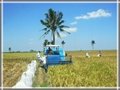 Full feed self propelled rice and wheat combine harvester 2