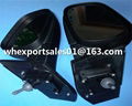 Car Mirror Plastic Parts Mould 3