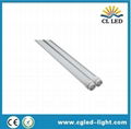 high brightness T8 LED Tube 