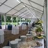 Party Tent Hire 