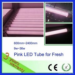 Pink Color T8 LED Tube 9w~36w