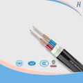 0.6/1kv 2c*35mm2 Cu PVC/PVC Power Cable 1