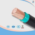 0.6/1kv 2c*35mm2 Cu PVC/PVC Power Cable 4