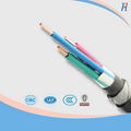 0.6/1kv 2c*35mm2 Cu PVC/PVC Power Cable 5