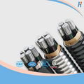 plastic insulated mining cable 2