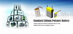 Lithium Polymer Battery