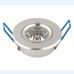 LED Ceiling Light 1W DL 