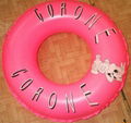 Wholesale best quality good durable pvc adult swimming ring