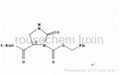 (S)-2-Oxo-imidazolidine-1,5-dicarboxylic