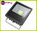 10W LED Flood Light