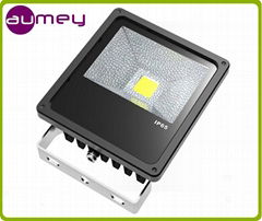 30W LED Flood Light