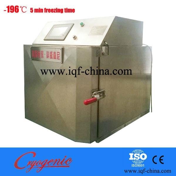 China stainless steel liquid nitrogen small iqf machine