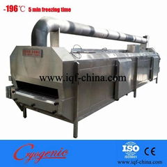 China stainless steel liquid nitrogen seafood meat vegetable freezing tunnel