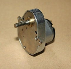 DC Gear motor