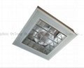 induction ceiling light  fixtures